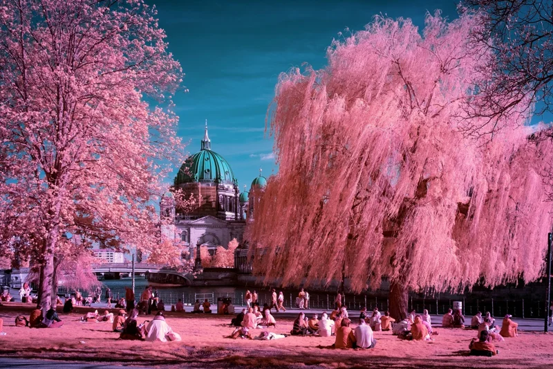 Pink Silence at Berliner Dom