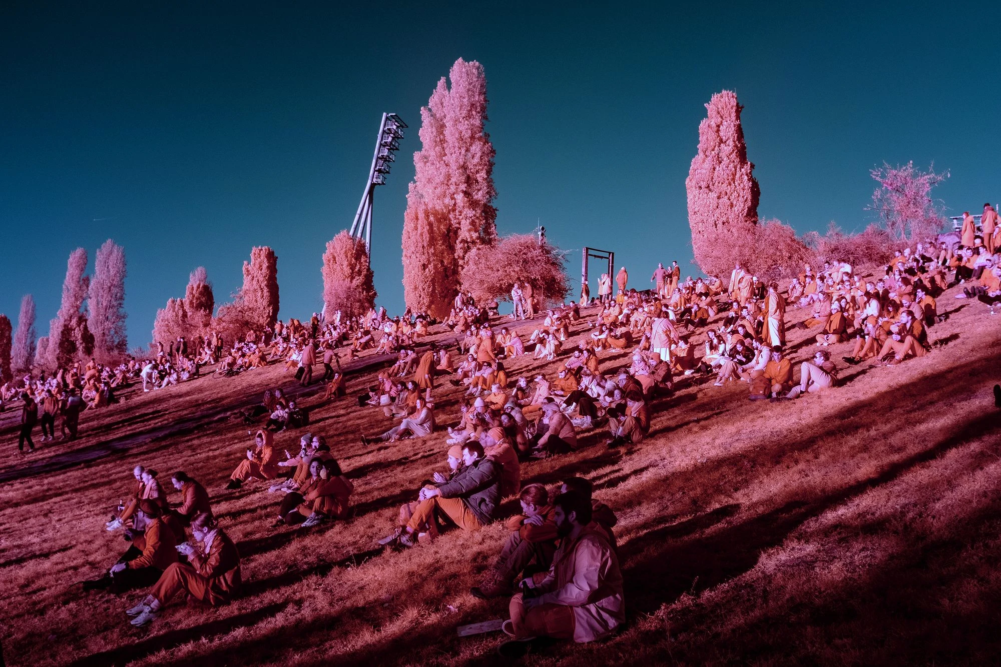 Sun Worshippers and Techno Vibes: A Day in Mauerpark