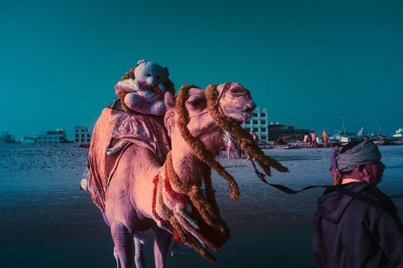 Camel of Childhood
