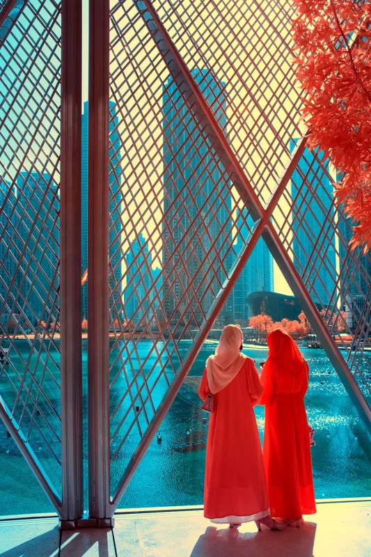 Red Veiled Reality