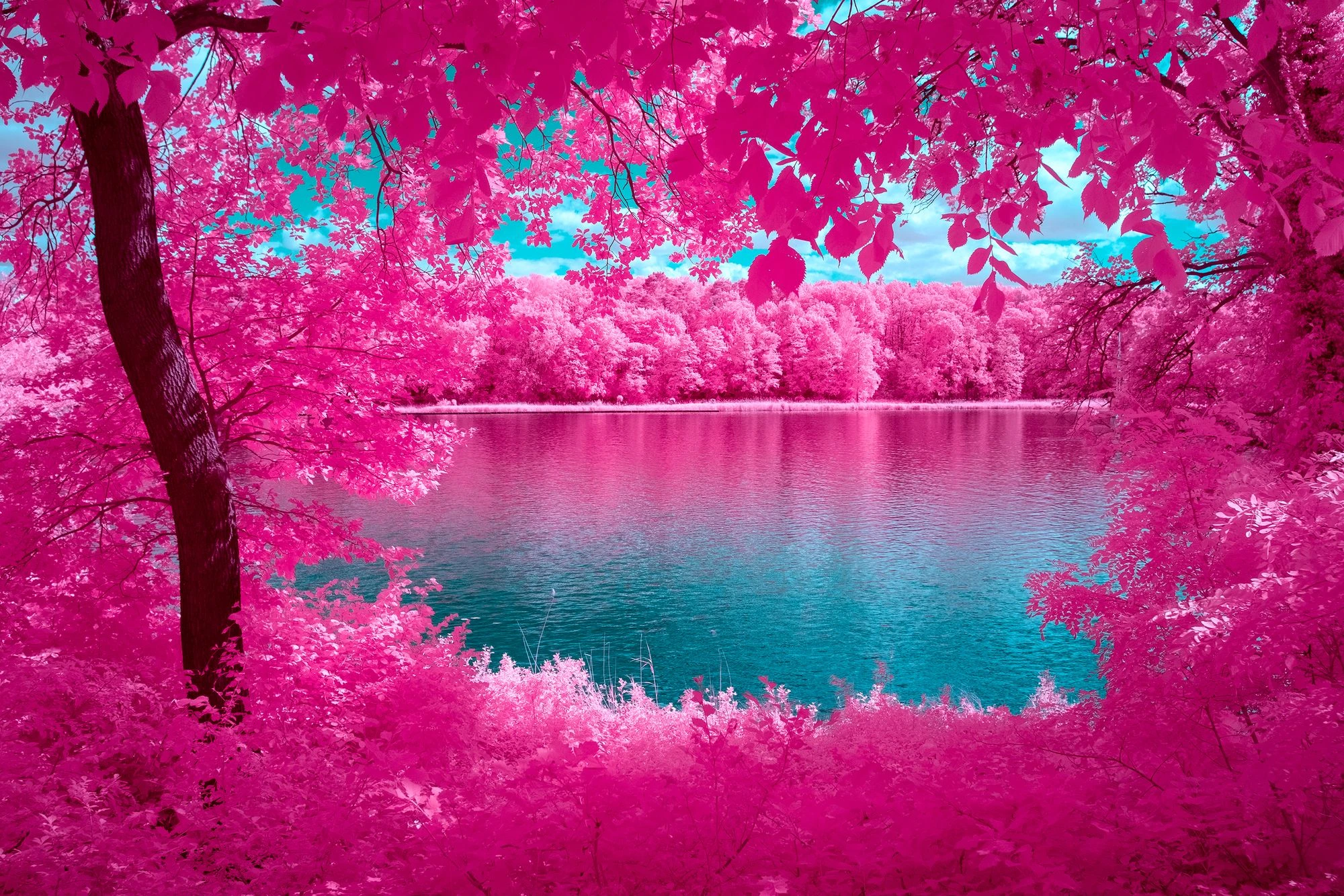 The Mirror Of Nature