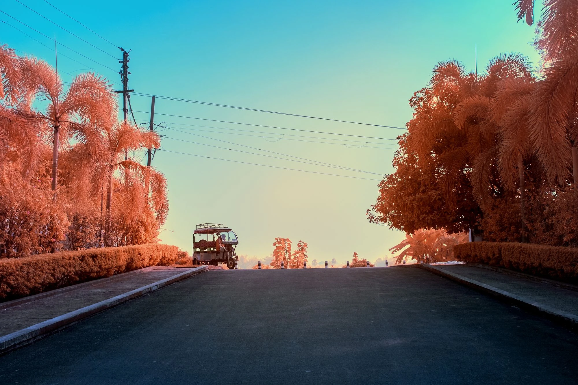 Rickshaw - Gaura Village