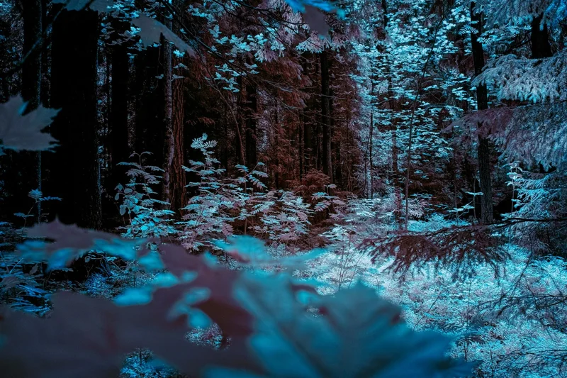 Stillness in Helsinki