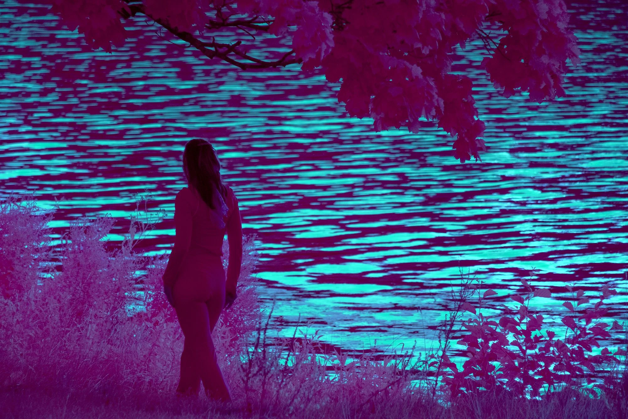 Sacrow Waters &ndash; The Artist