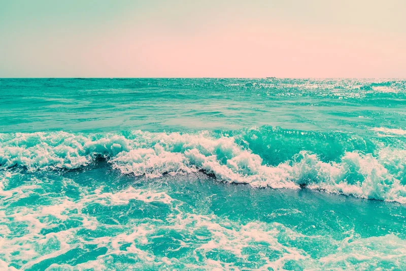 Where the Ocean Remembers