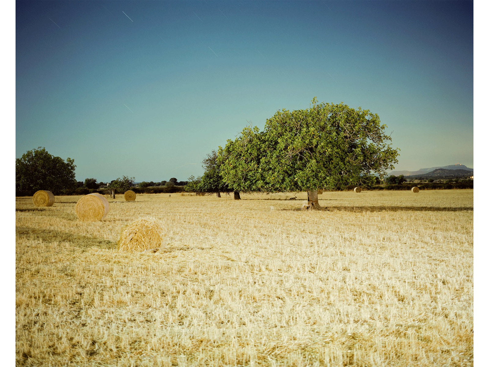 Photographie d’art d’André Wagner: A lost sheep, Spanien.