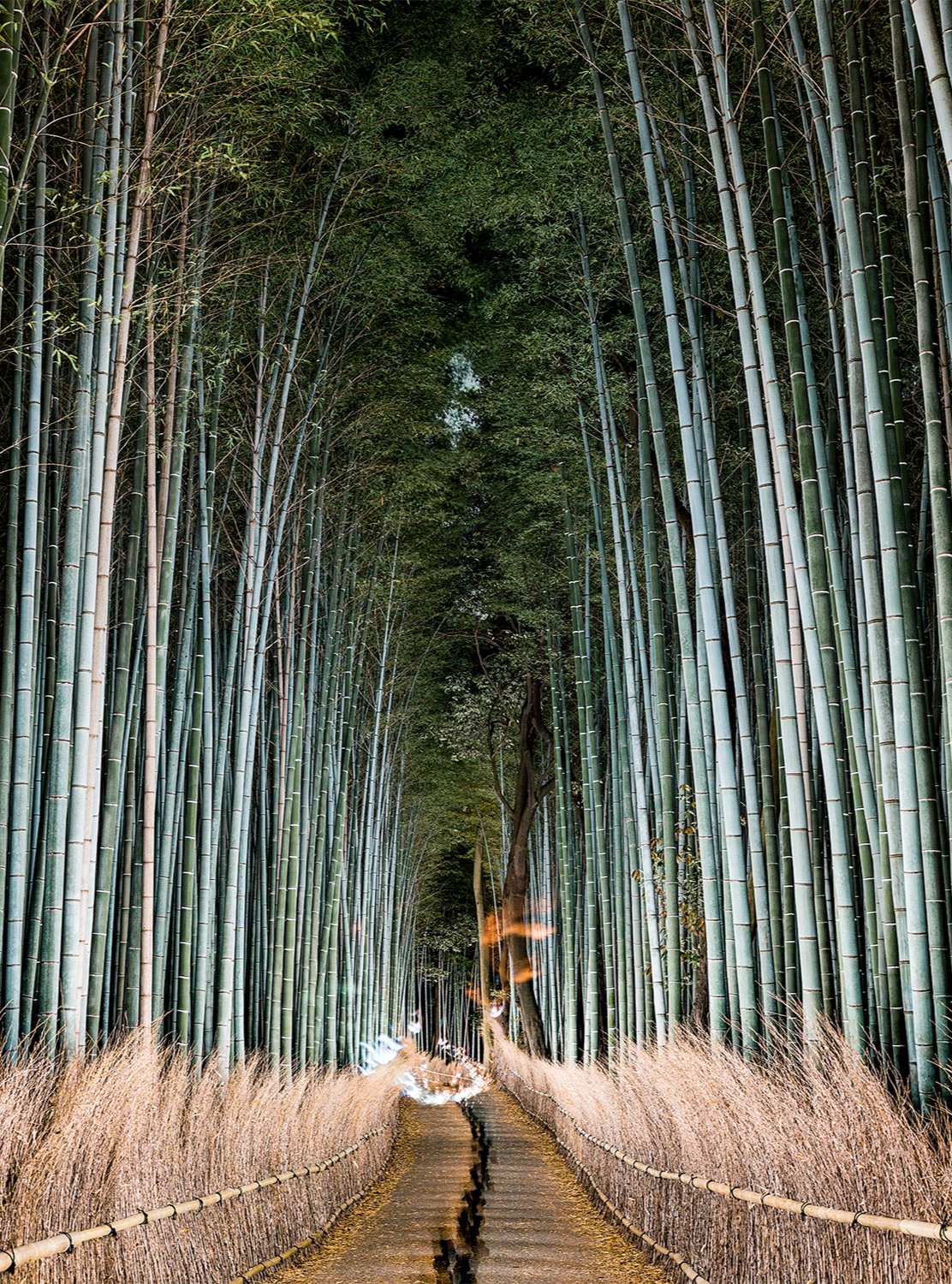 Fine art photography by André Wagner: Arashiyama bamboo, Japan.