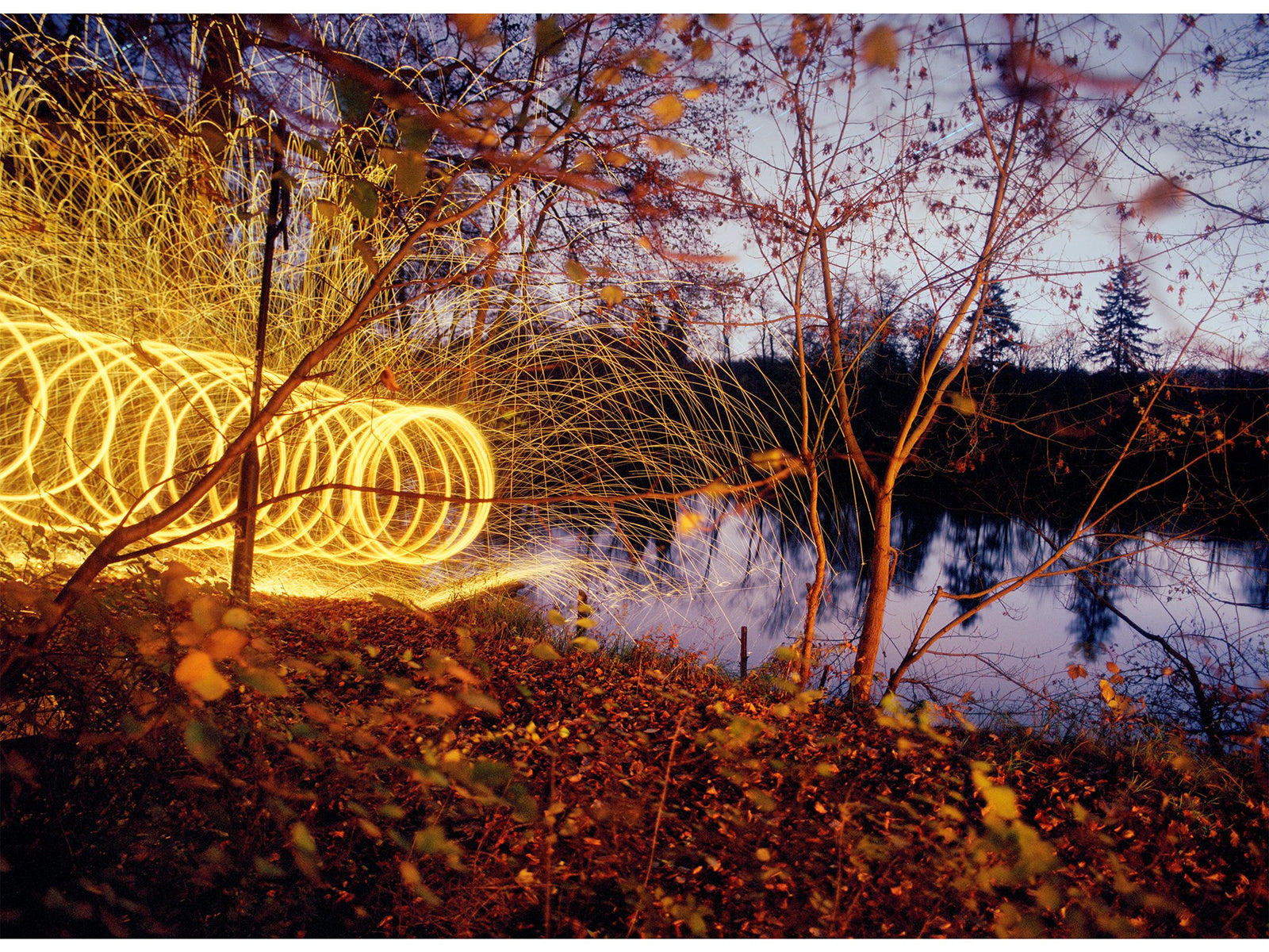 Fine art photography by André Wagner: A sequence of golden light circles runs among slender waterside trunks — Away from the sea, Deutschland.