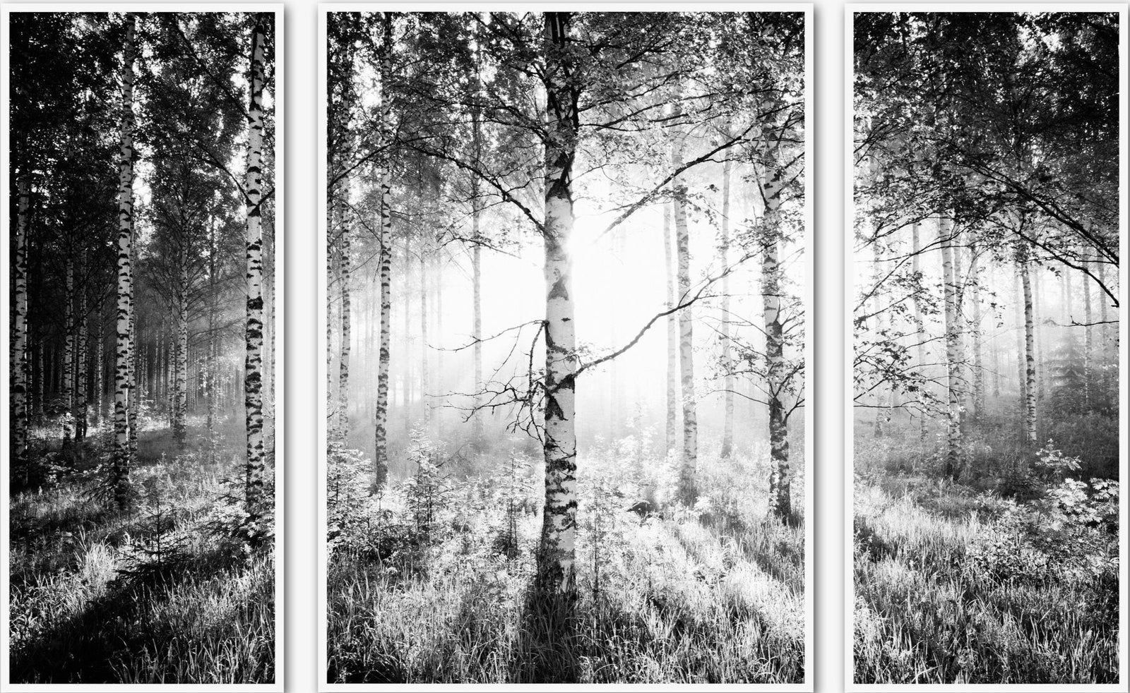 Photographie d’art d’André Wagner: Trois panneaux de largeurs différentes forment une vue cohérente en noir et blanc — Birkenwald - triptychon, Finnland.