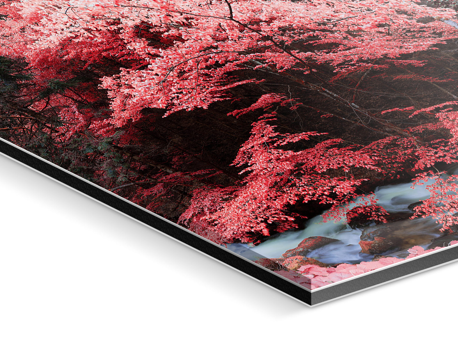 Détail du cadre et du bord de l’œuvre photographique « Copy of INFRARED BLACKFOREST 1, DEUTSCHLAND » d’André Wagner.
