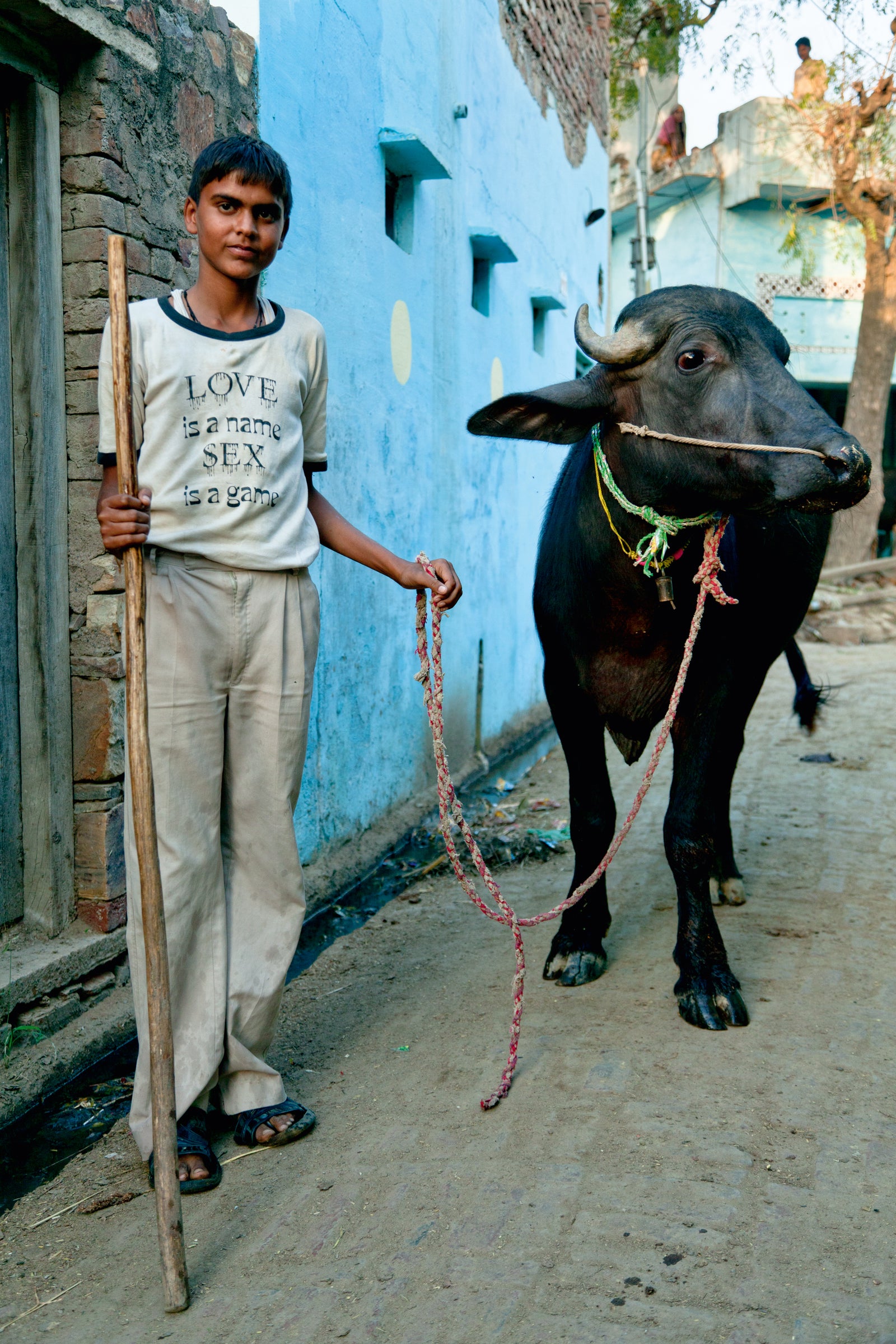 Cowherd boy with water buffalo in Uttar Pradesh