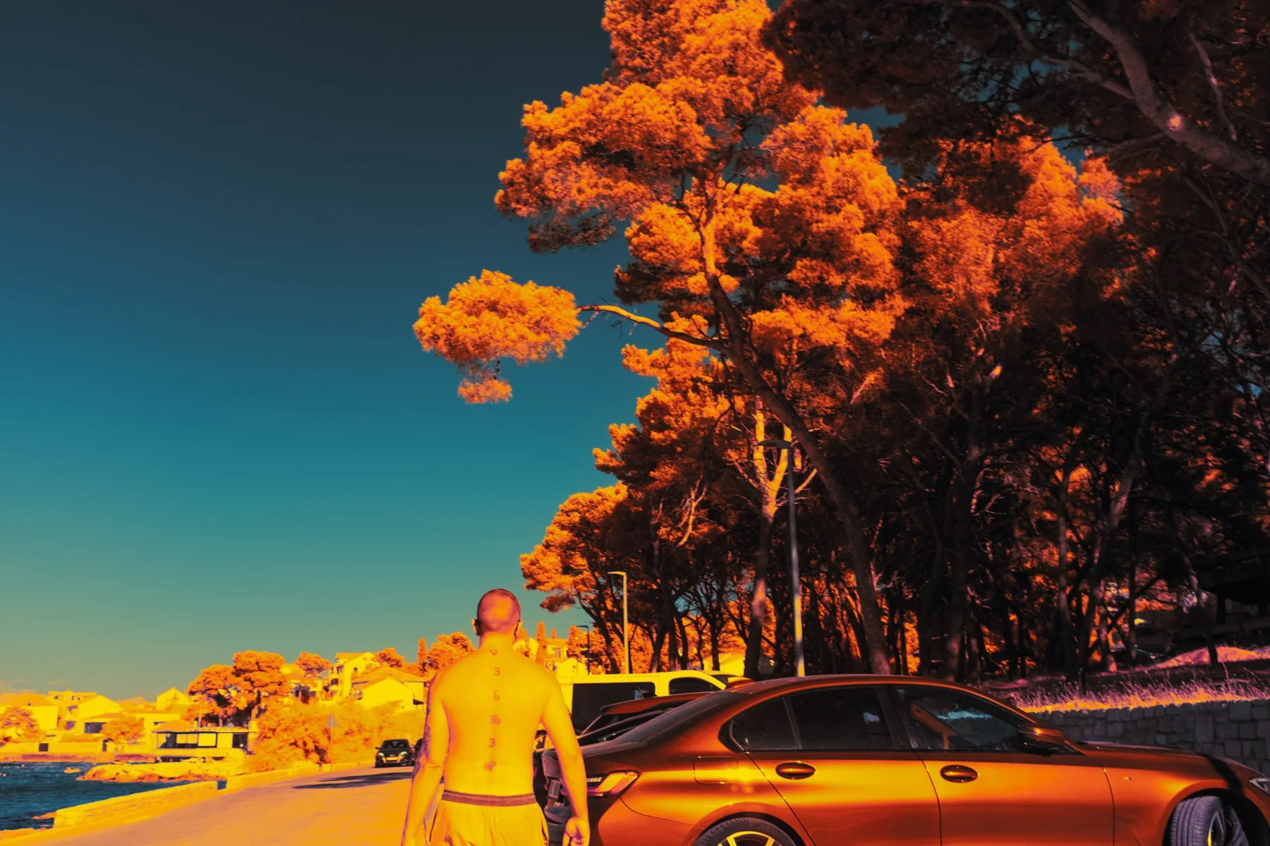 Un homme &agrave; c&ocirc;t&eacute; d&rsquo;une voiture sous des arbres orange.