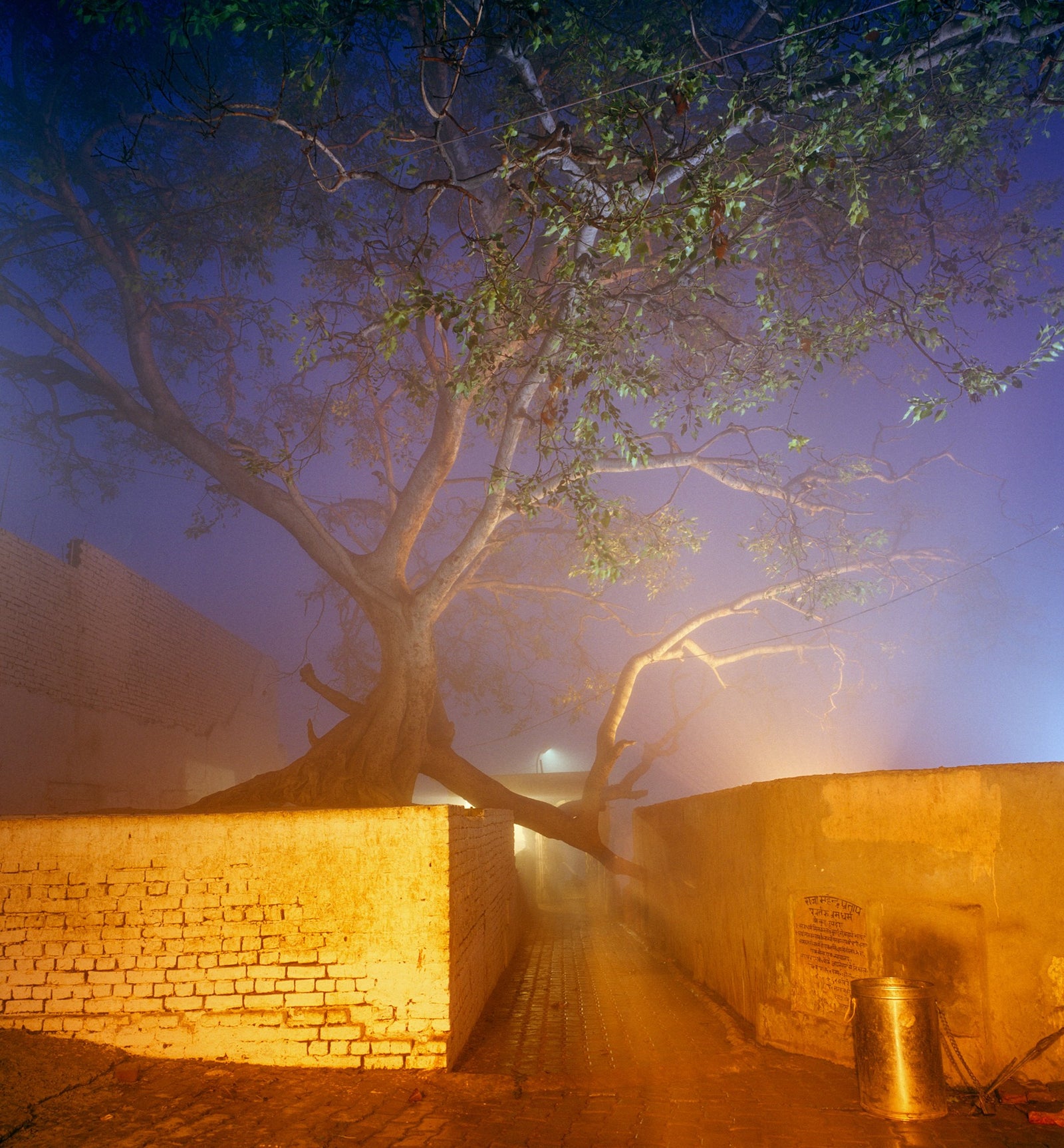 Fine art photography by André Wagner: A tree rises behind low walls into a dark-blue sky — Fog in vrindavana, Indien.