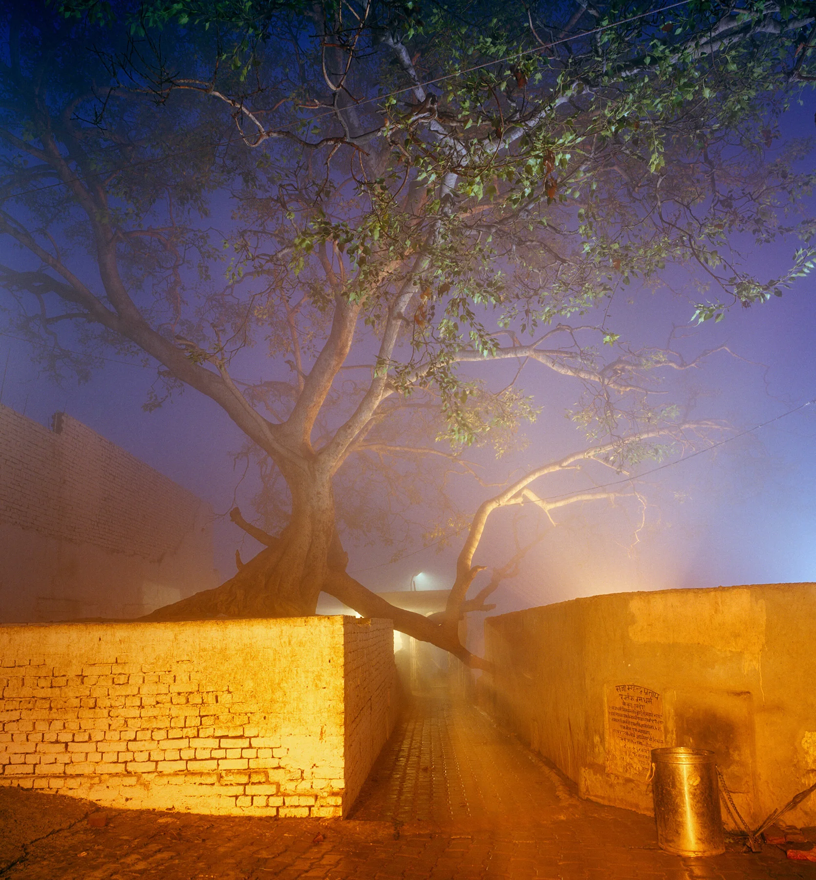 View of the photographic artwork &ldquo;Fog in Vrindavana, Indien&rdquo; by Andr&eacute; Wagner.