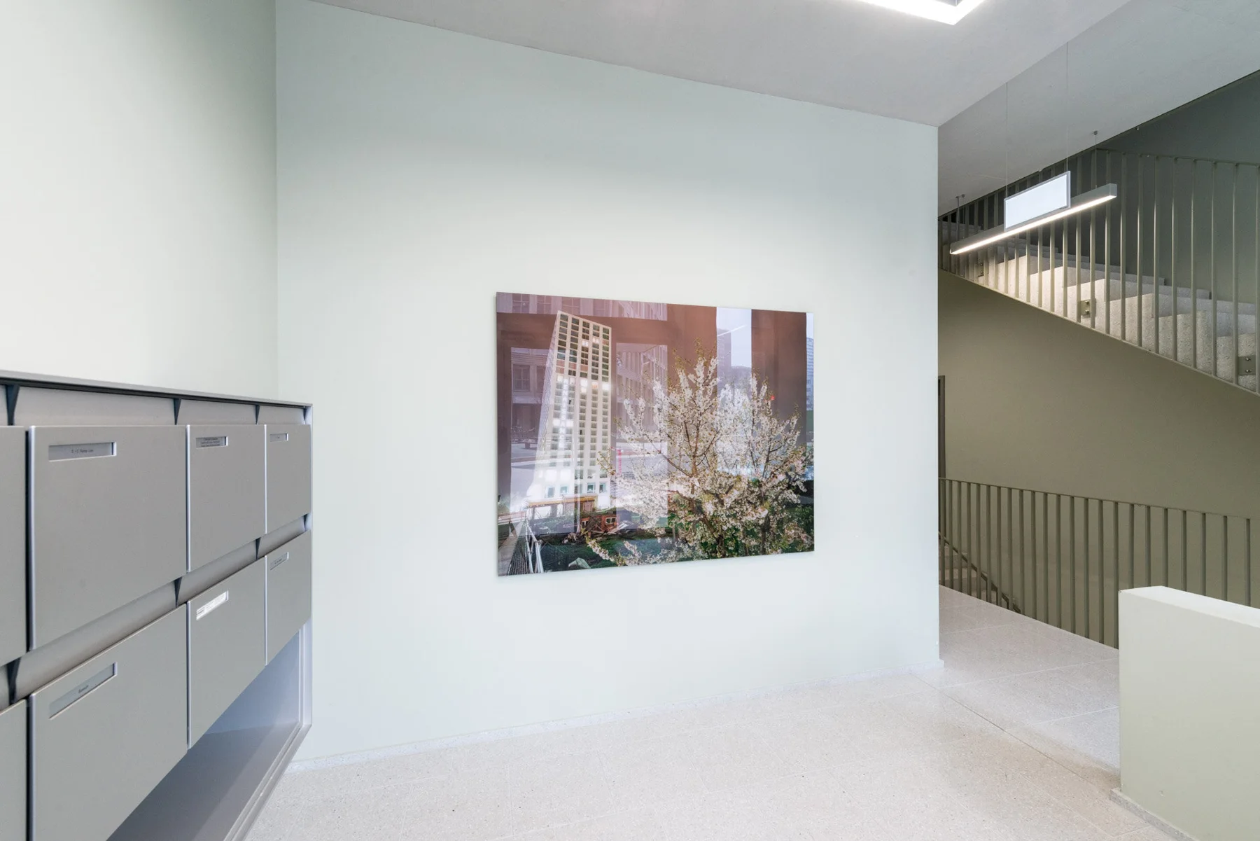 Photographic woodland artwork beside mailboxes in an entrance hall