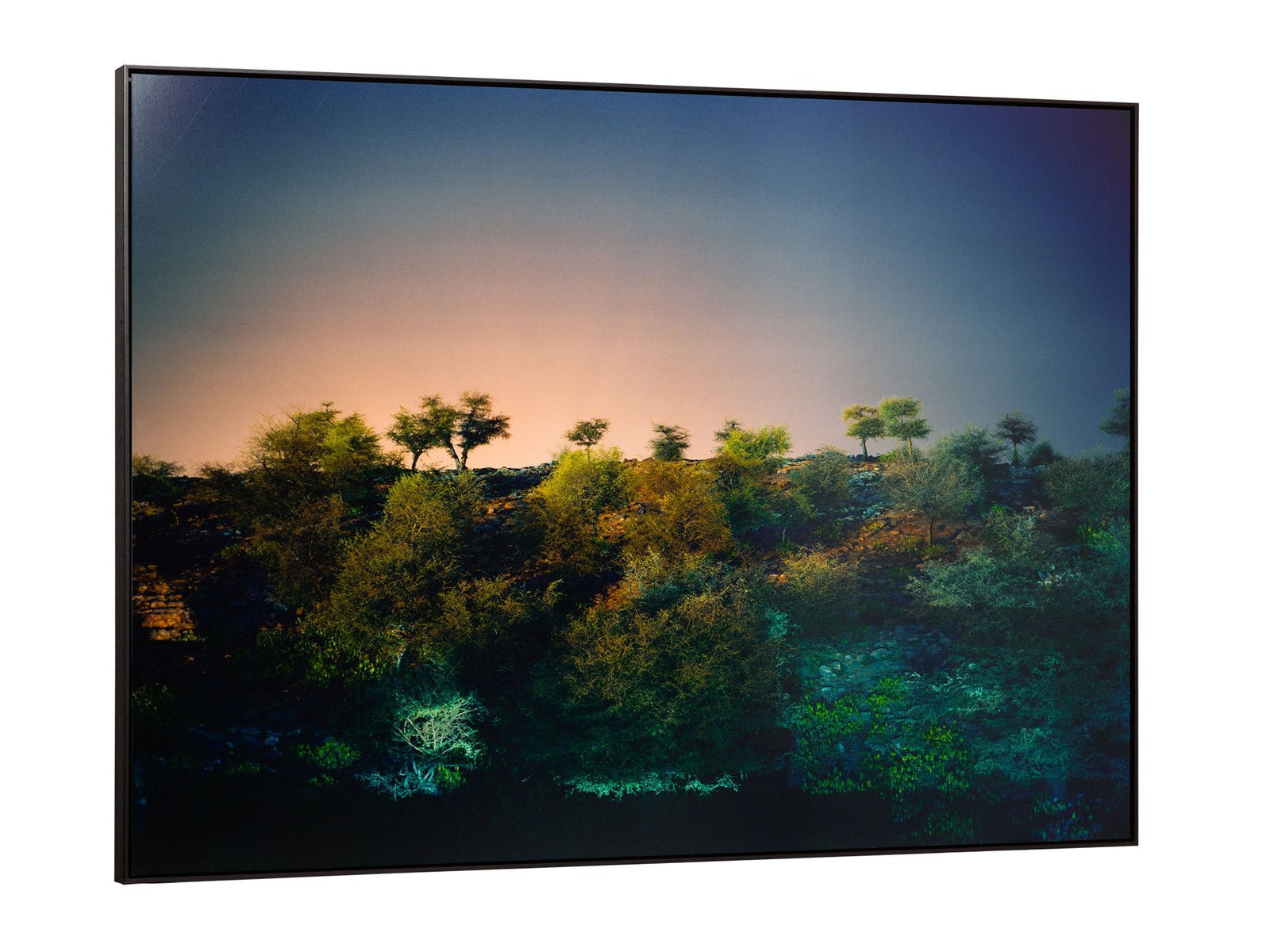 Photographie d’art d’André Wagner: Au-dessus d’un versant pierreux, des arbres isolés se tiennent devant un ciel largement ouvert — Govardhan hill, Indien.