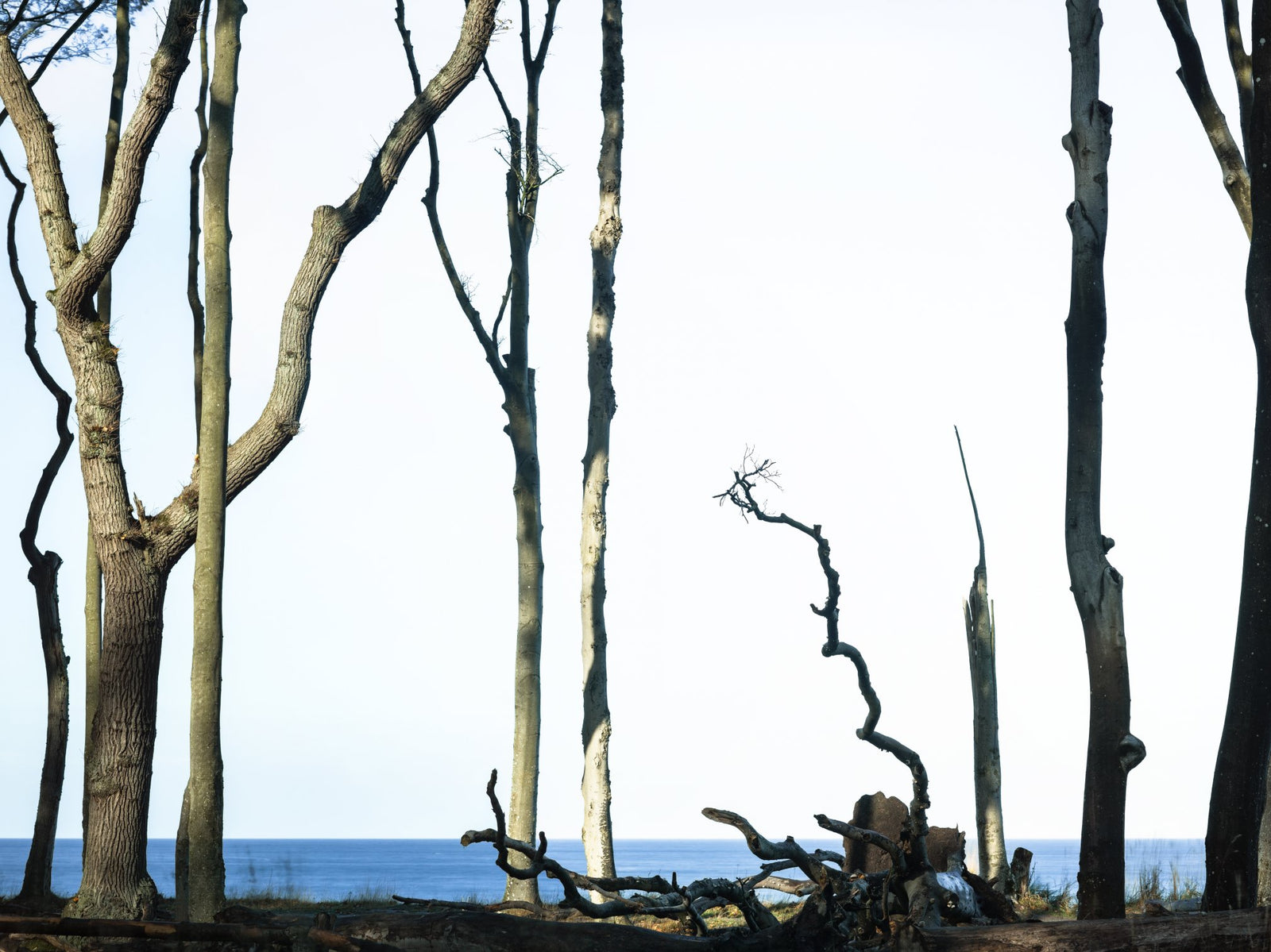 Photographie d’art d’André Wagner: Harlekine im wind 2, Deutschland.