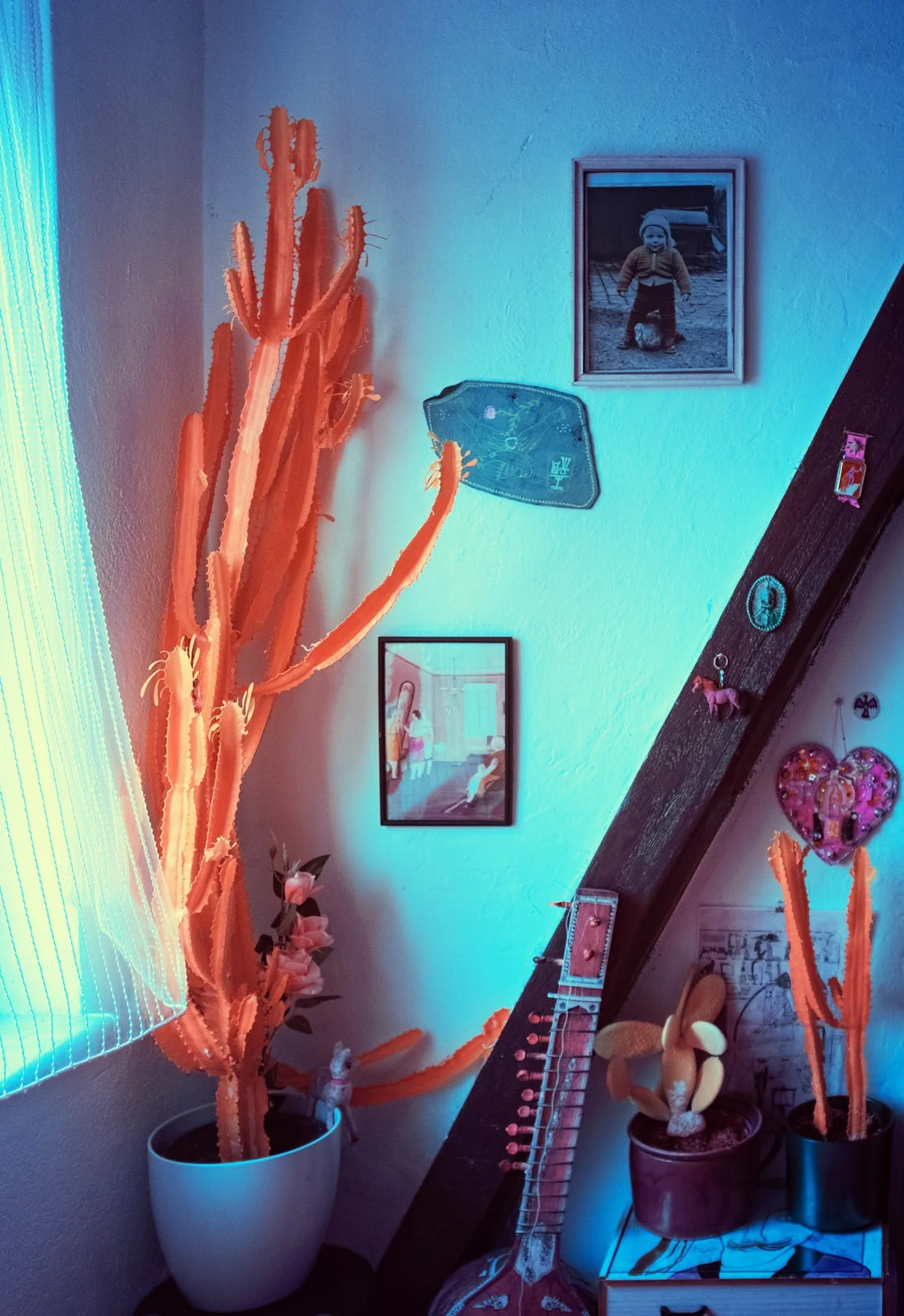 Cactus et guitare dans une pi&egrave;ce.