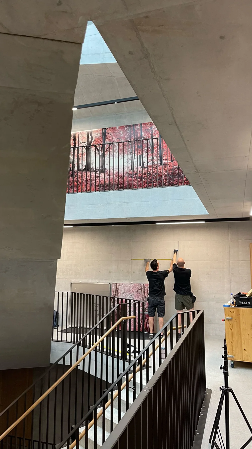 Des personnes dans un escalier sous une installation photographique grand format repr&eacute;sentant des arbres rouges.