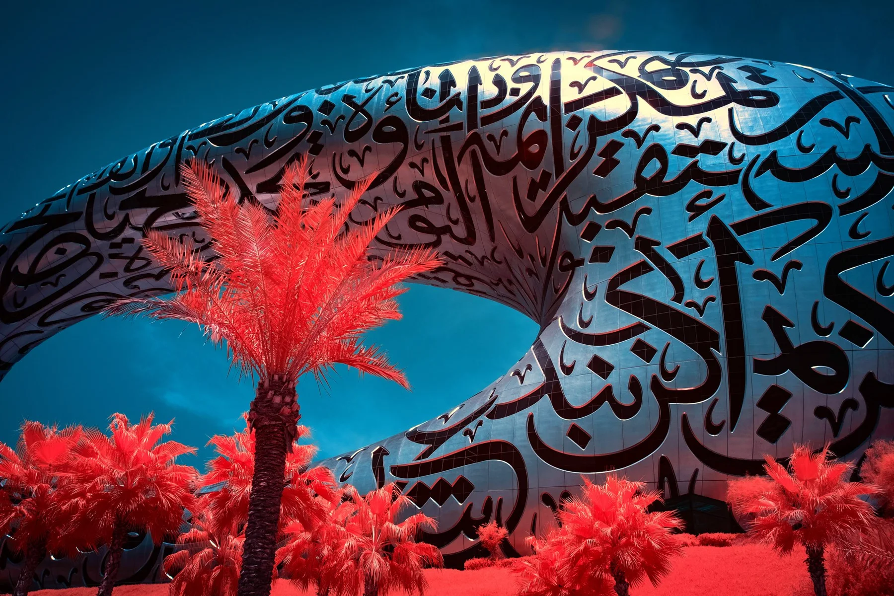 Museum of the Future &agrave; Duba&iuml; derri&egrave;re des palmiers rouges.