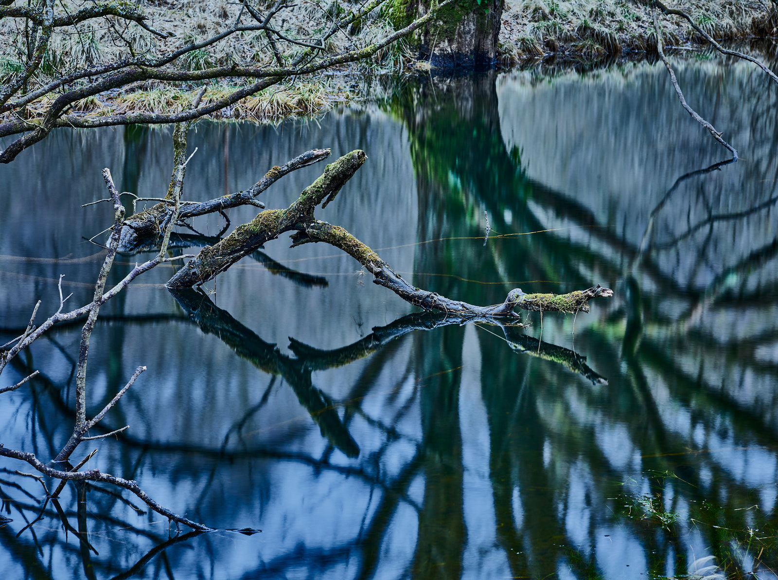 Photographie d’art d’André Wagner: Une branche ramifiée s’avance depuis la gauche au-dessus d’une eau bleu-gris — Oasis of silence 3, Schottland.