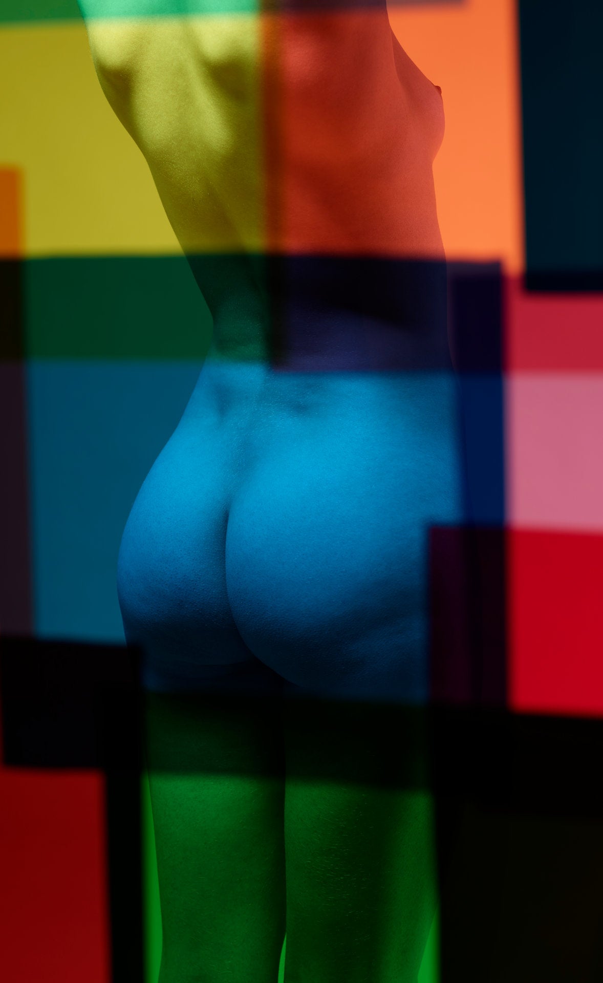 Photographie d’art d’André Wagner: Une vue de dos est divisée en plusieurs sections par des champs de couleur horizontaux sombres — Paula XII.