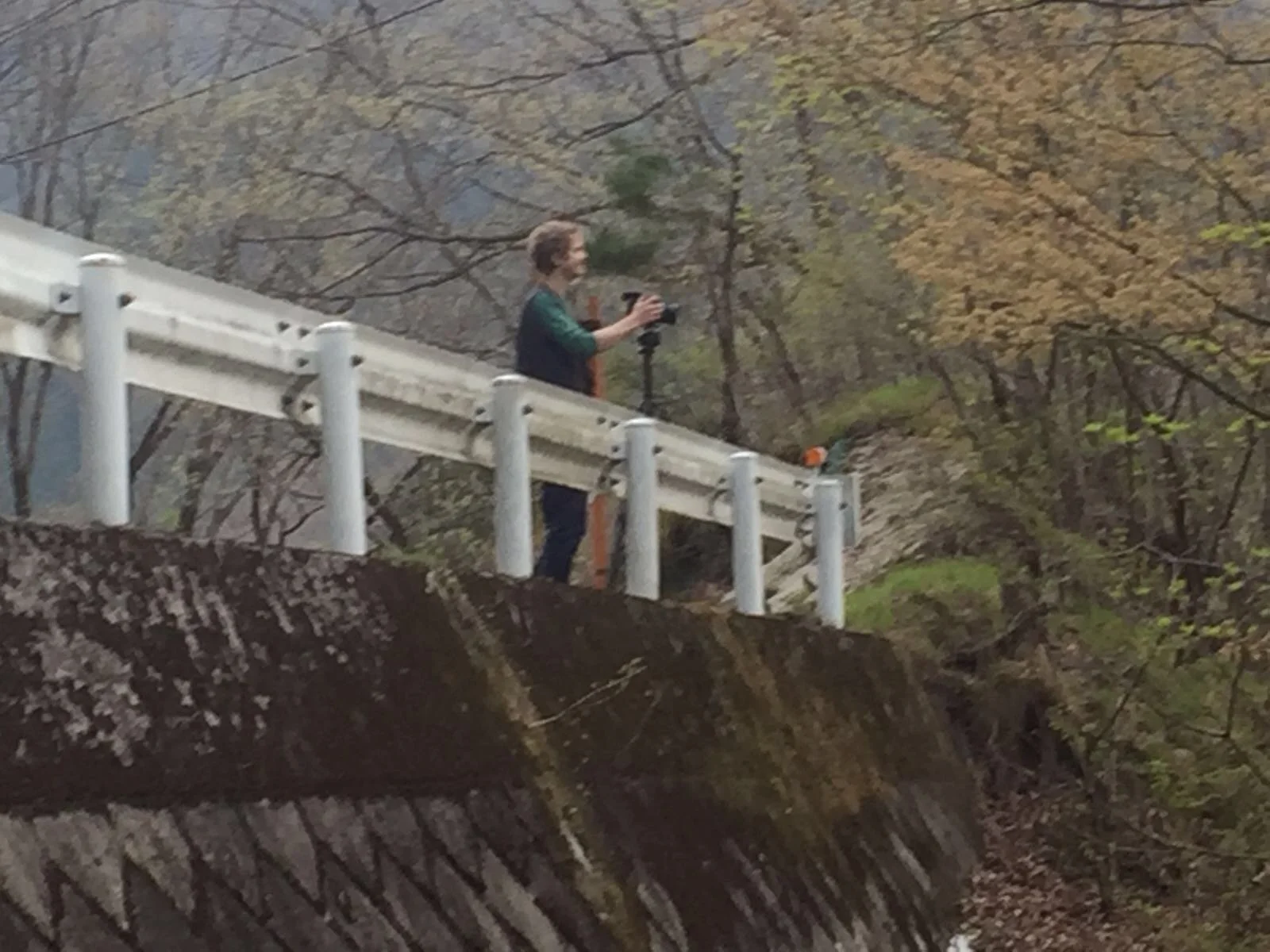Personne pr&egrave;s d&rsquo;une balustrade dans un paysage bois&eacute;