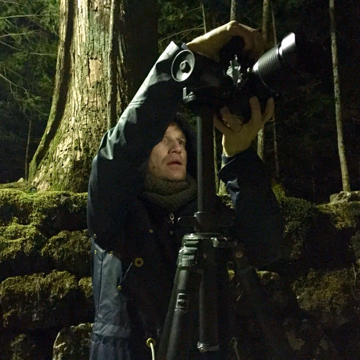 Personne avec du mat&eacute;riel photographique dans une for&ecirc;t sombre
