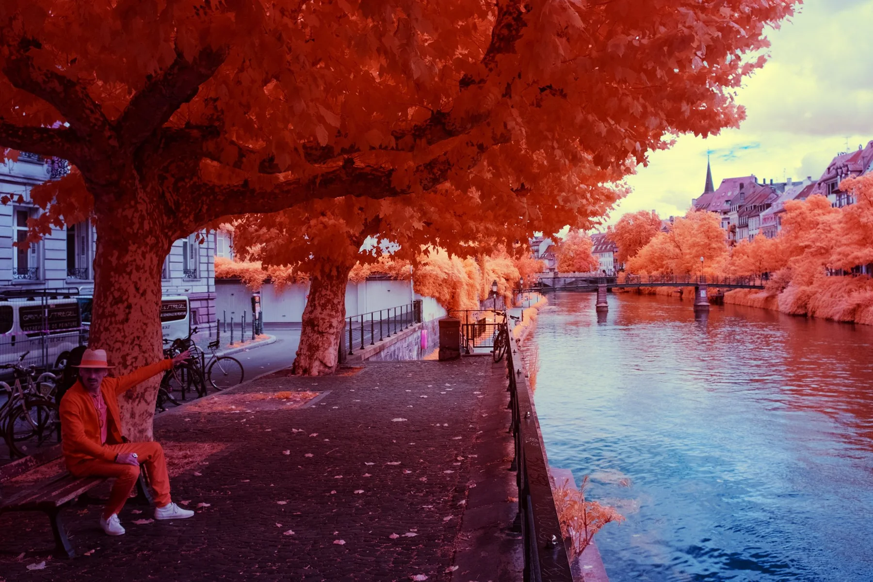 Promenade sous des arbres rouges.