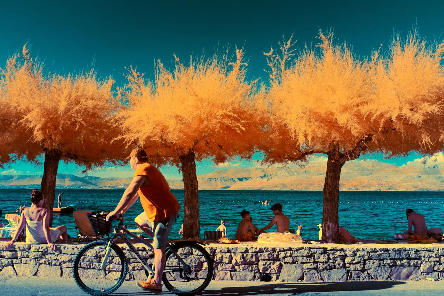 Cycliste devant des arbres orange sur une promenade au bord de l&rsquo;eau.