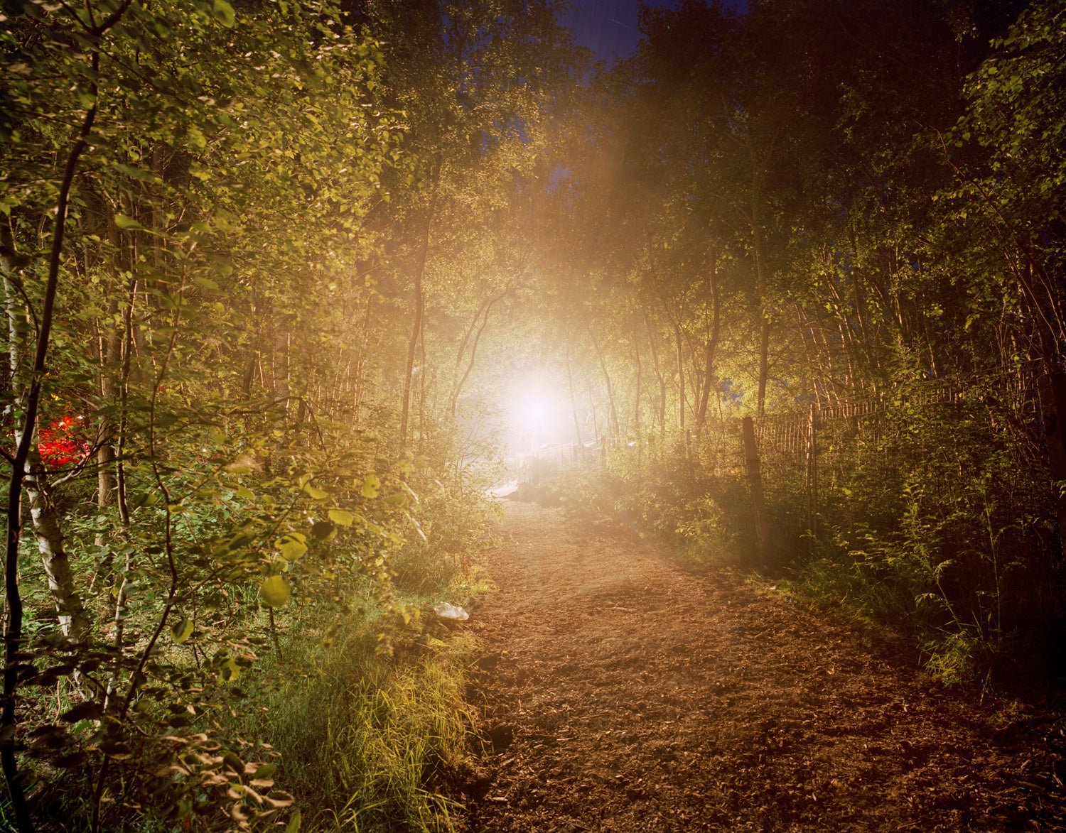 Photographie d’art d’André Wagner: Un étroit chemin forestier mène vers une source de lumière très intense — Rescue, Deutschland.