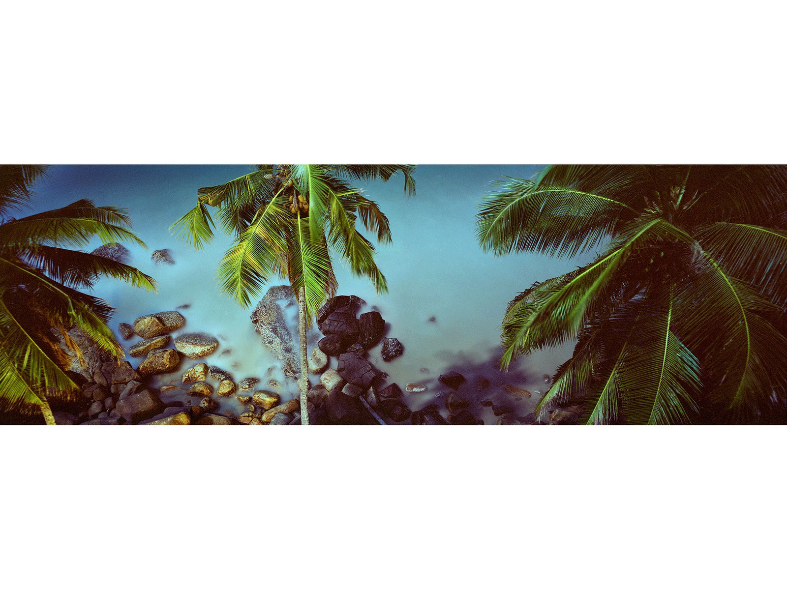 Photographie d’art d’André Wagner: Des palmes entrent des deux côtés dans un champ très large et étroit — Sex on the beach, Indien.