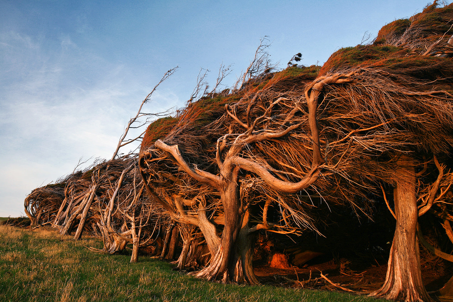 Photographie d’art d’André Wagner: Slope Point III.