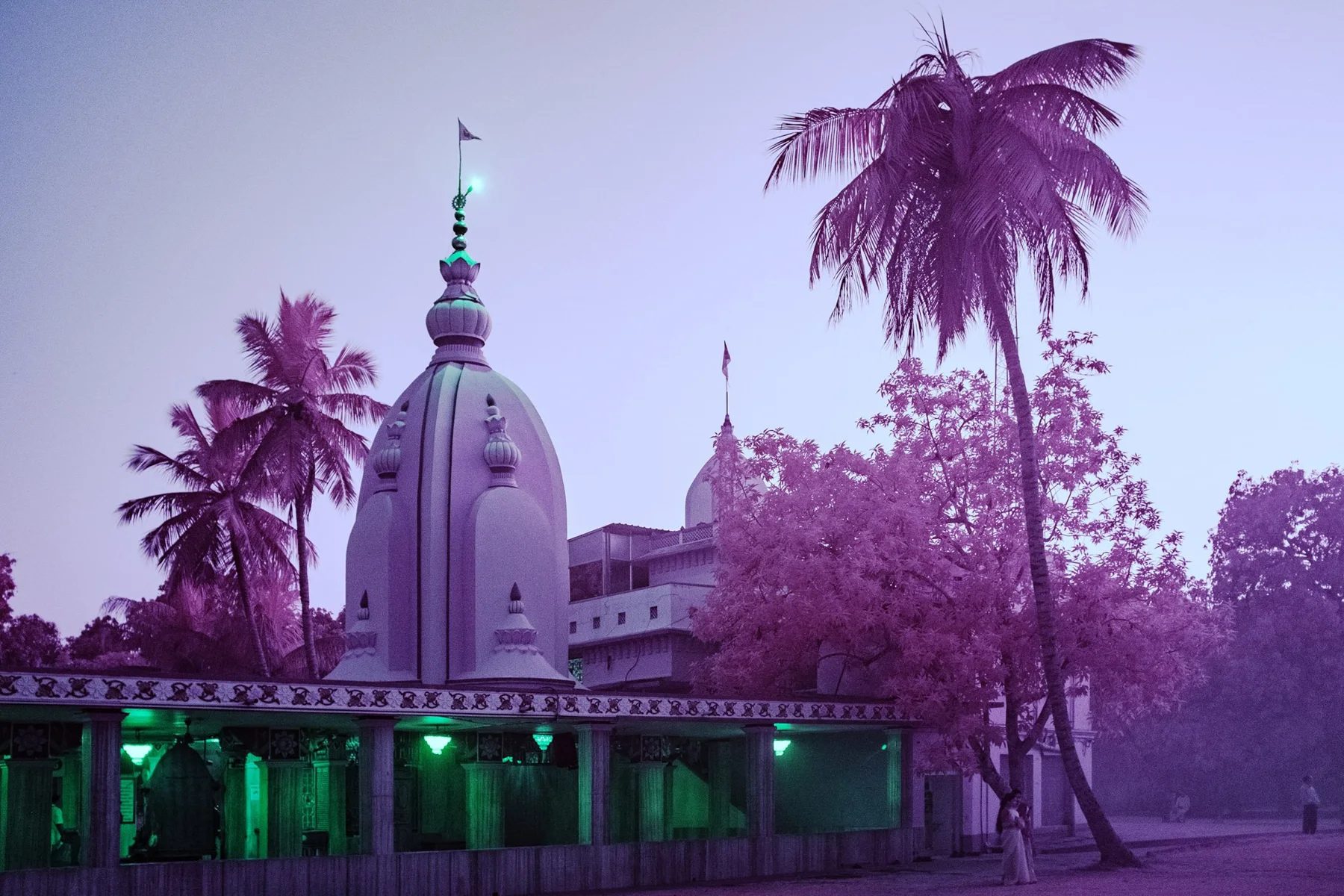 B&acirc;timent de temple et palmiers aux couleurs infrarouges violettes.