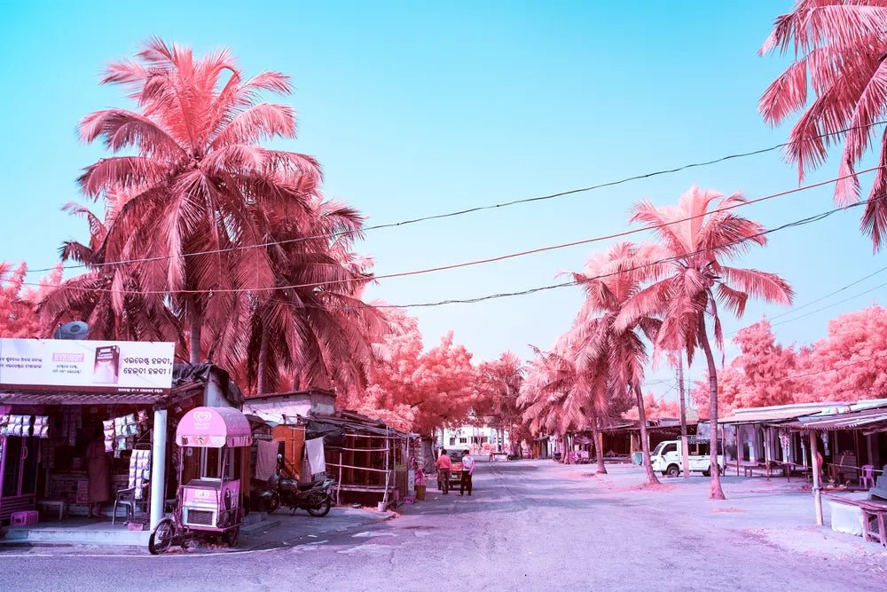 Photographie d’art infrarouge d’André Wagner: The Forgotten Oasis, Indien.
