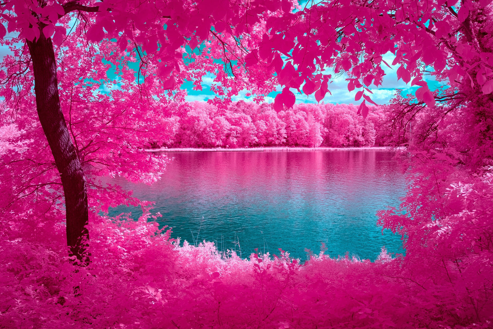 Photographie d’art infrarouge d’André Wagner: The mirror of nature, Deutschland.