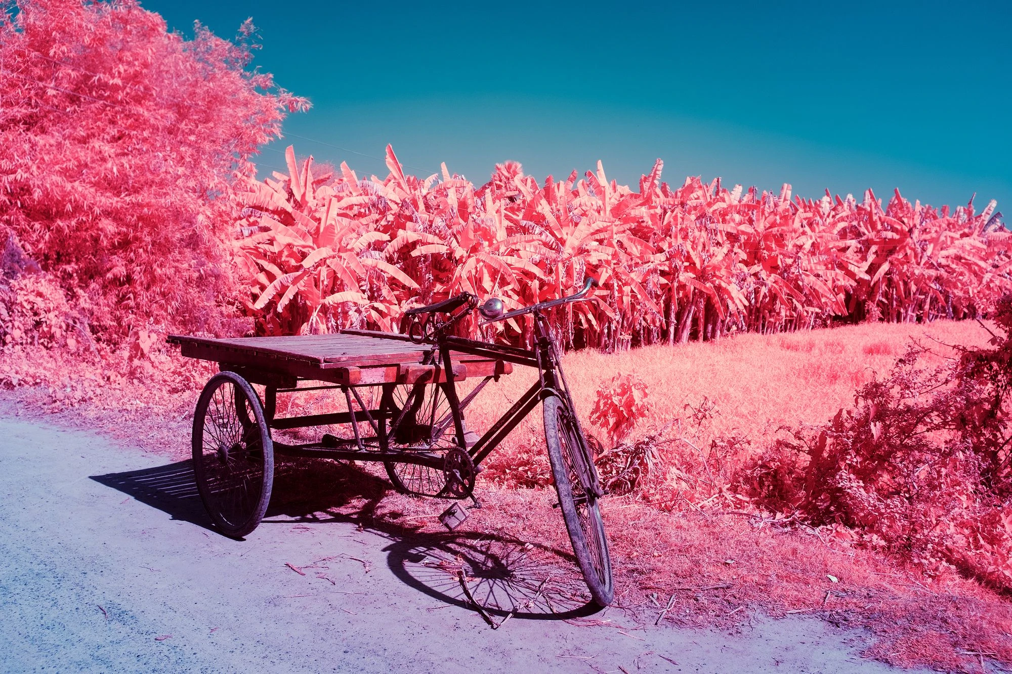 Photographie d’art infrarouge d’André Wagner: Un triporteur de transport se tient en biais sur un chemin poussiéreux — The Poetry of the Everyday.