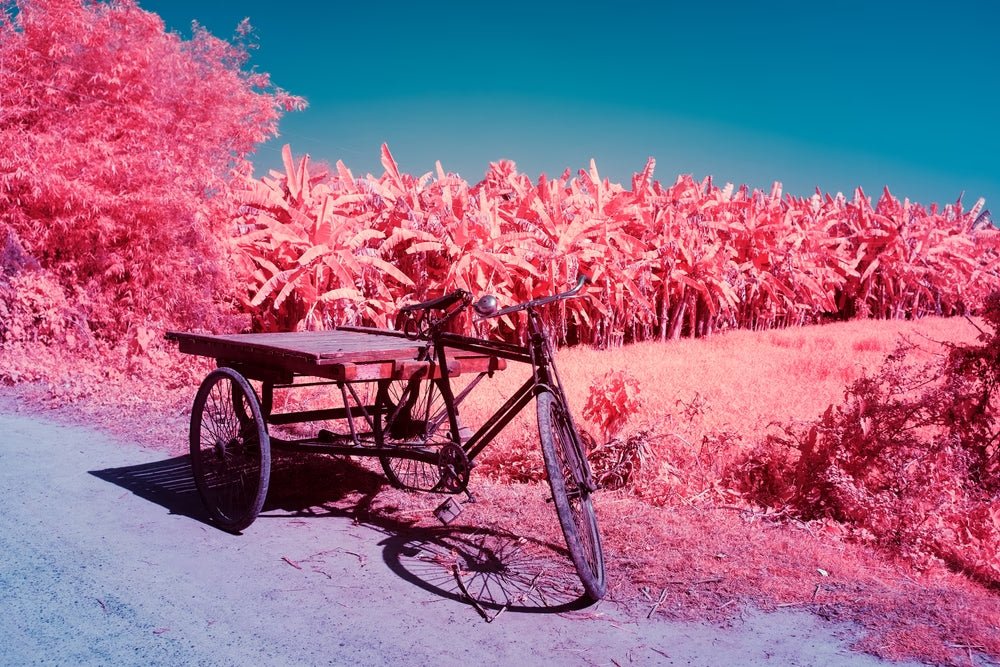 Photographie d’art infrarouge d’André Wagner: The Poetry of the Everyday, Indien.