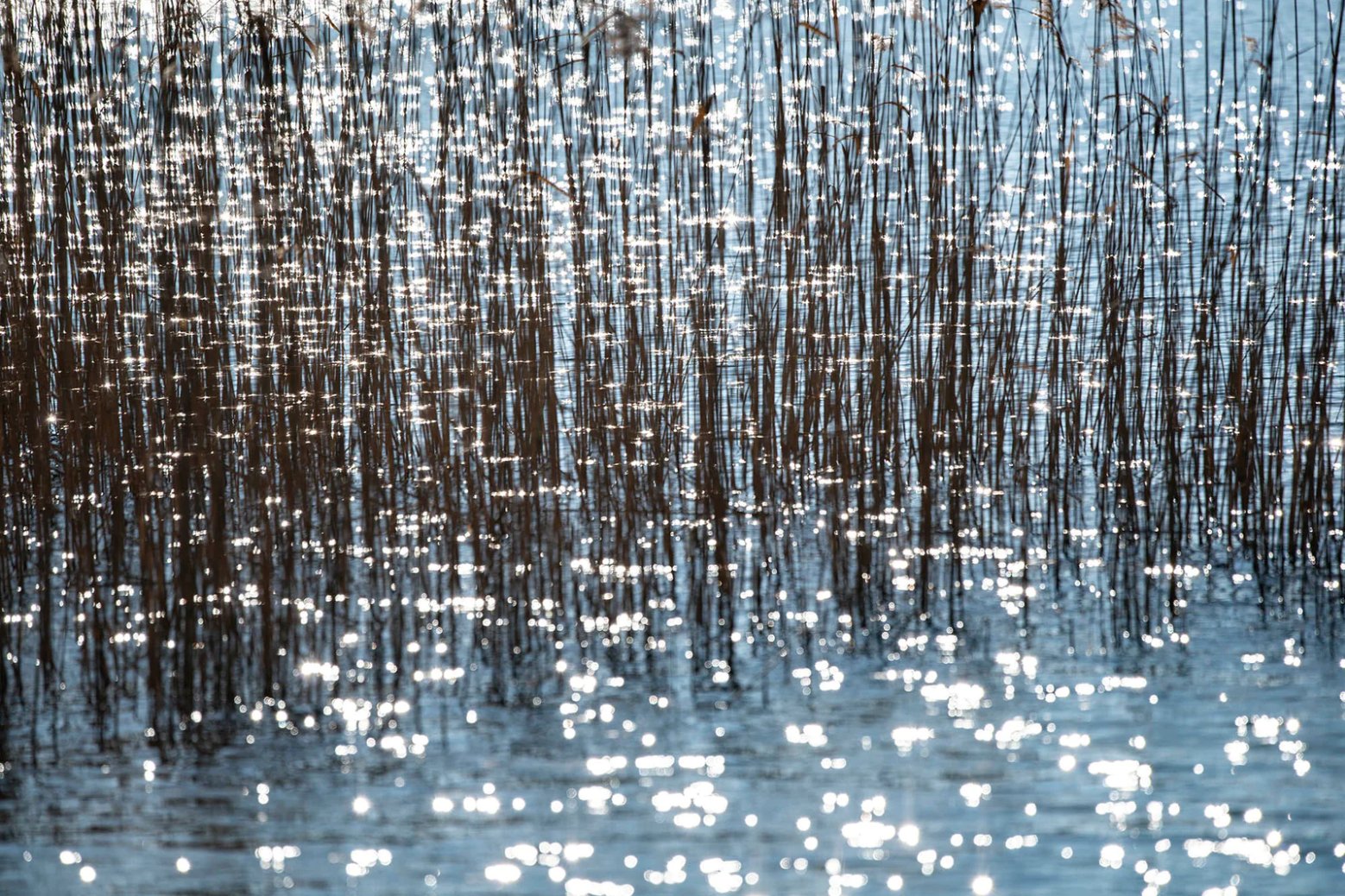 Photographie d’art d’André Wagner: Thousands of suns, Deutschland.