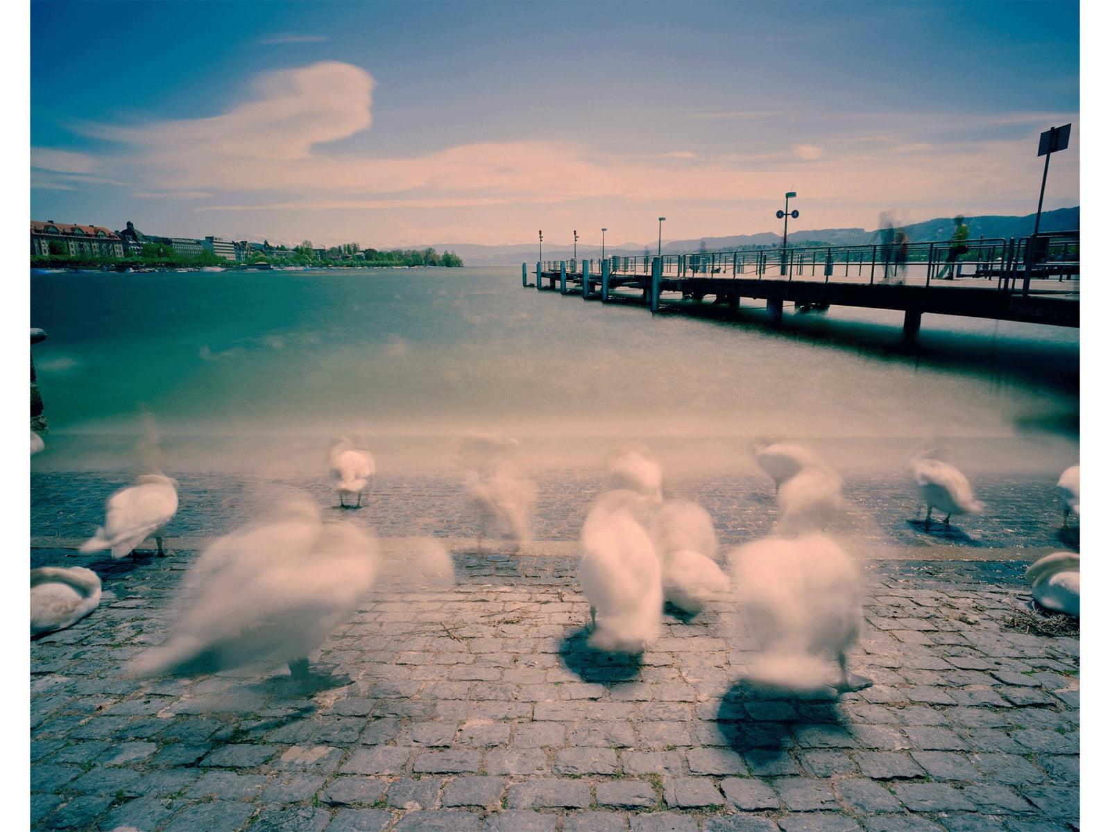 Photographie d’art d’André Wagner: Plusieurs oiseaux blancs se tiennent sur une bande de rive pavée — Touched by air, Schweiz.
