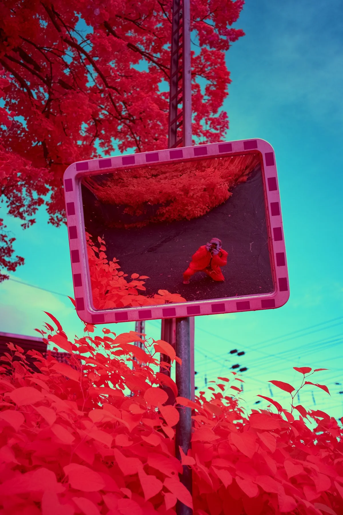 Miroir de circulation entre des feuilles rouges.