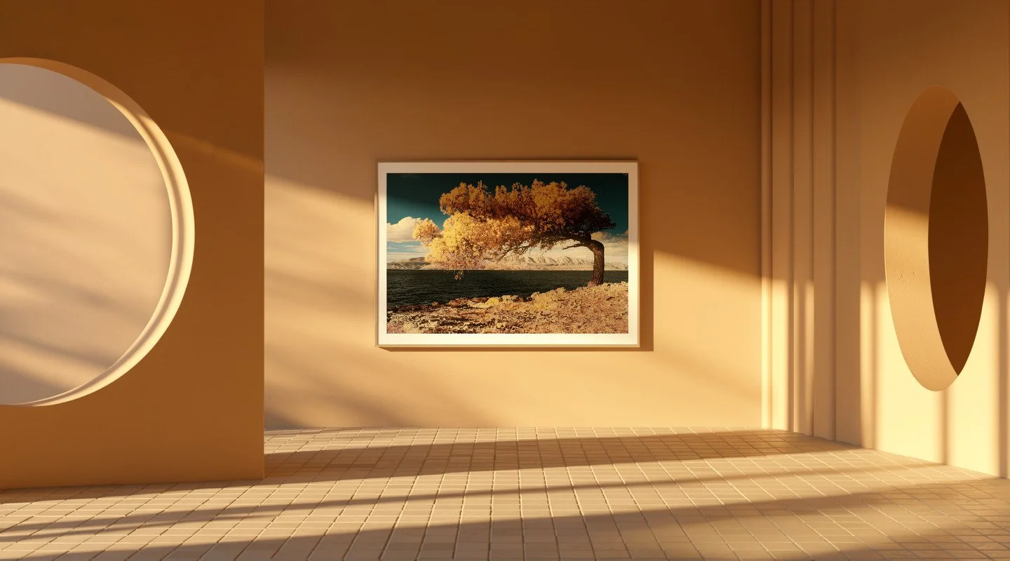 Warmer Innenraum mit runden Fenstern und gerahmter Fotografie eines Baums an der Wand.