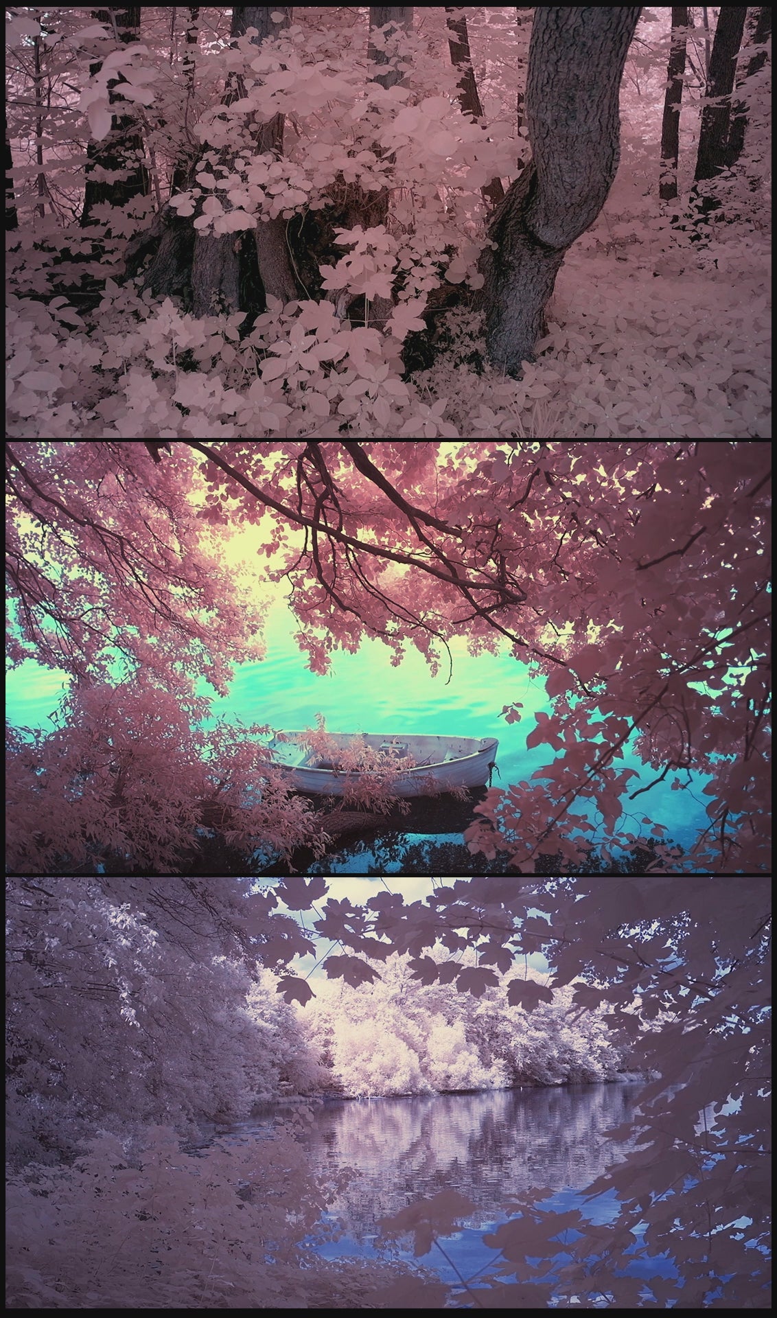 Photographie d’art infrarouge d’André Wagner: Within the heart of vibrations: infrared waves and their natural sounds 2.