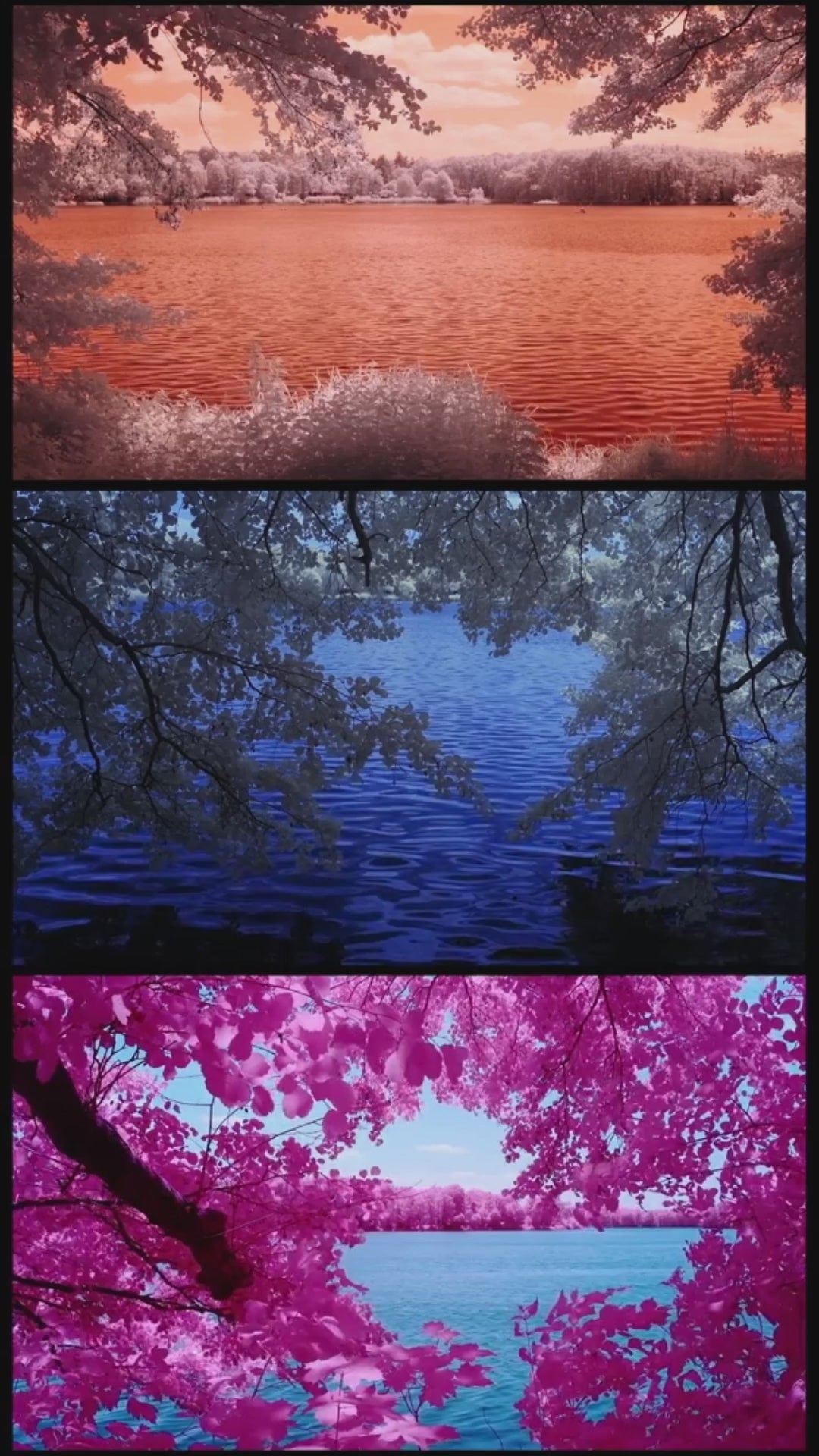 Photographie d’art infrarouge d’André Wagner: Within the Heart of Vibrations: Infrared Waves and their Natural Sounds.