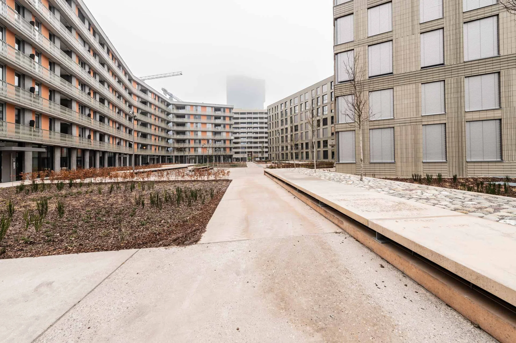 Residential buildings and paths between multi-storey facades
