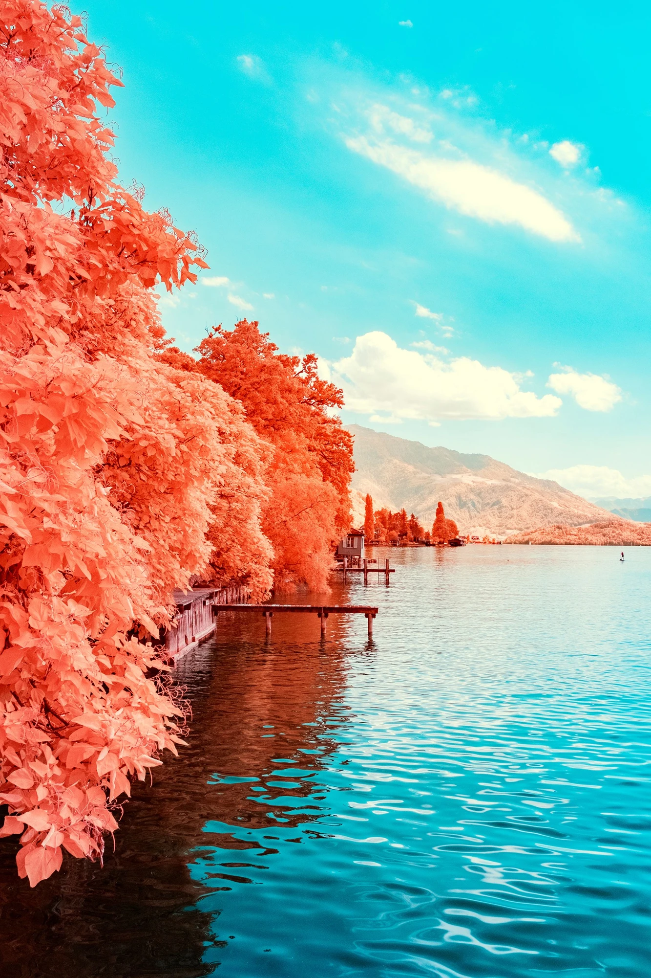 Photographie d’art infrarouge d’André Wagner: À gauche, une paroi dense de feuilles corail entre dans l’image ; à droite, l’eau et le ciel s’ouvrent en turquoise — ZUGERSEE #5.