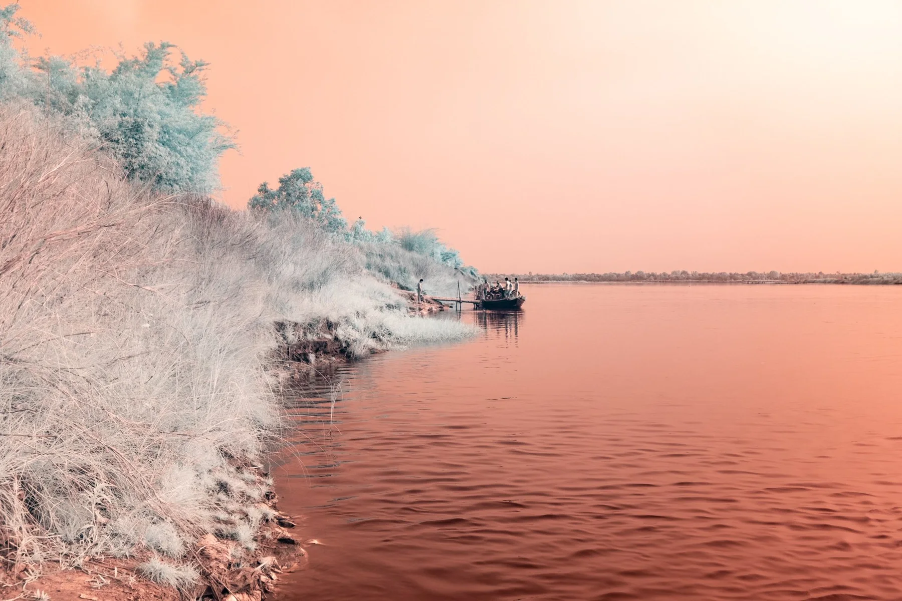 Flussufer mit hell gef&auml;rbter Vegetation.