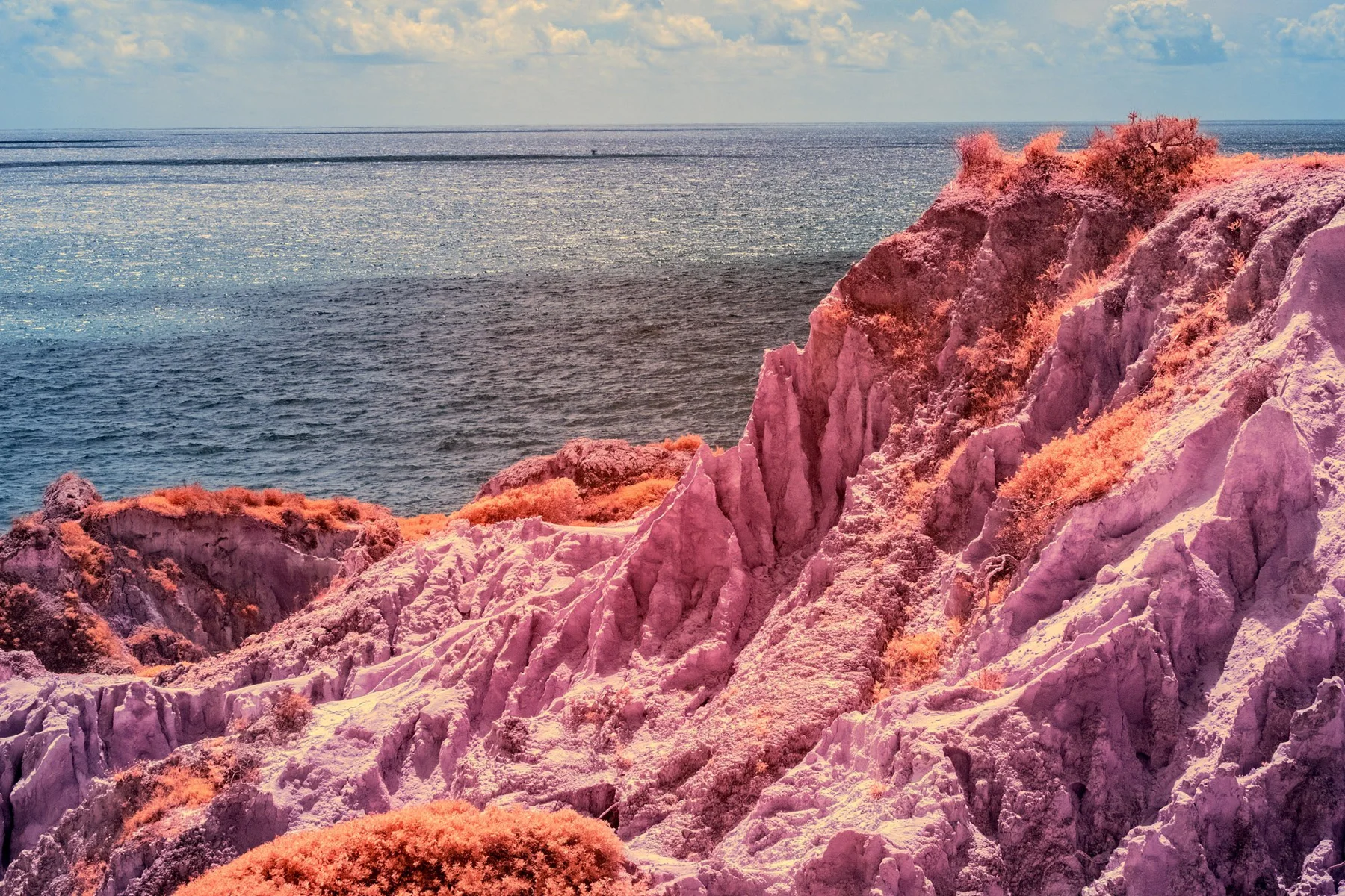 Zerkl&uuml;ftete K&uuml;ste mit pinkfarbener Vegetation.