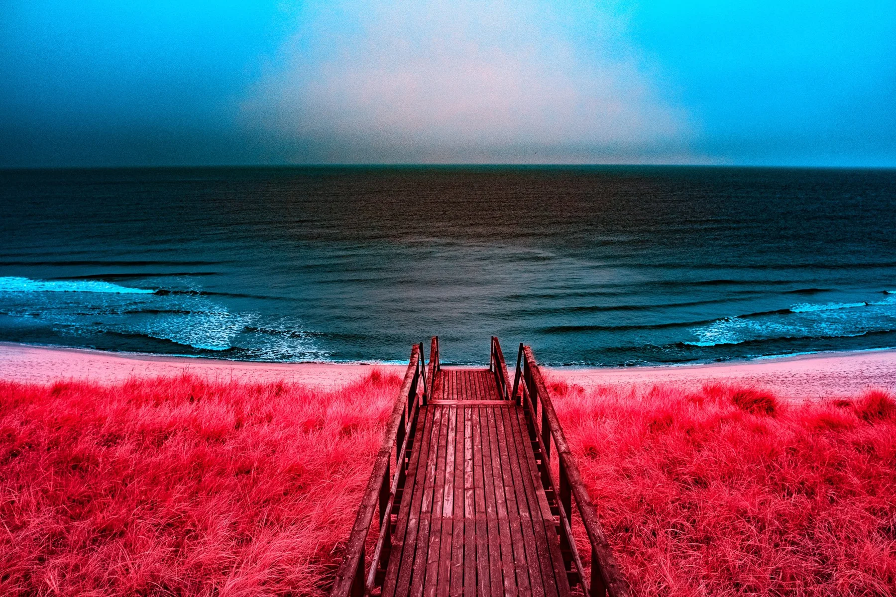 Holzsteg durch rote D&uuml;nenvegetation zum Meer.