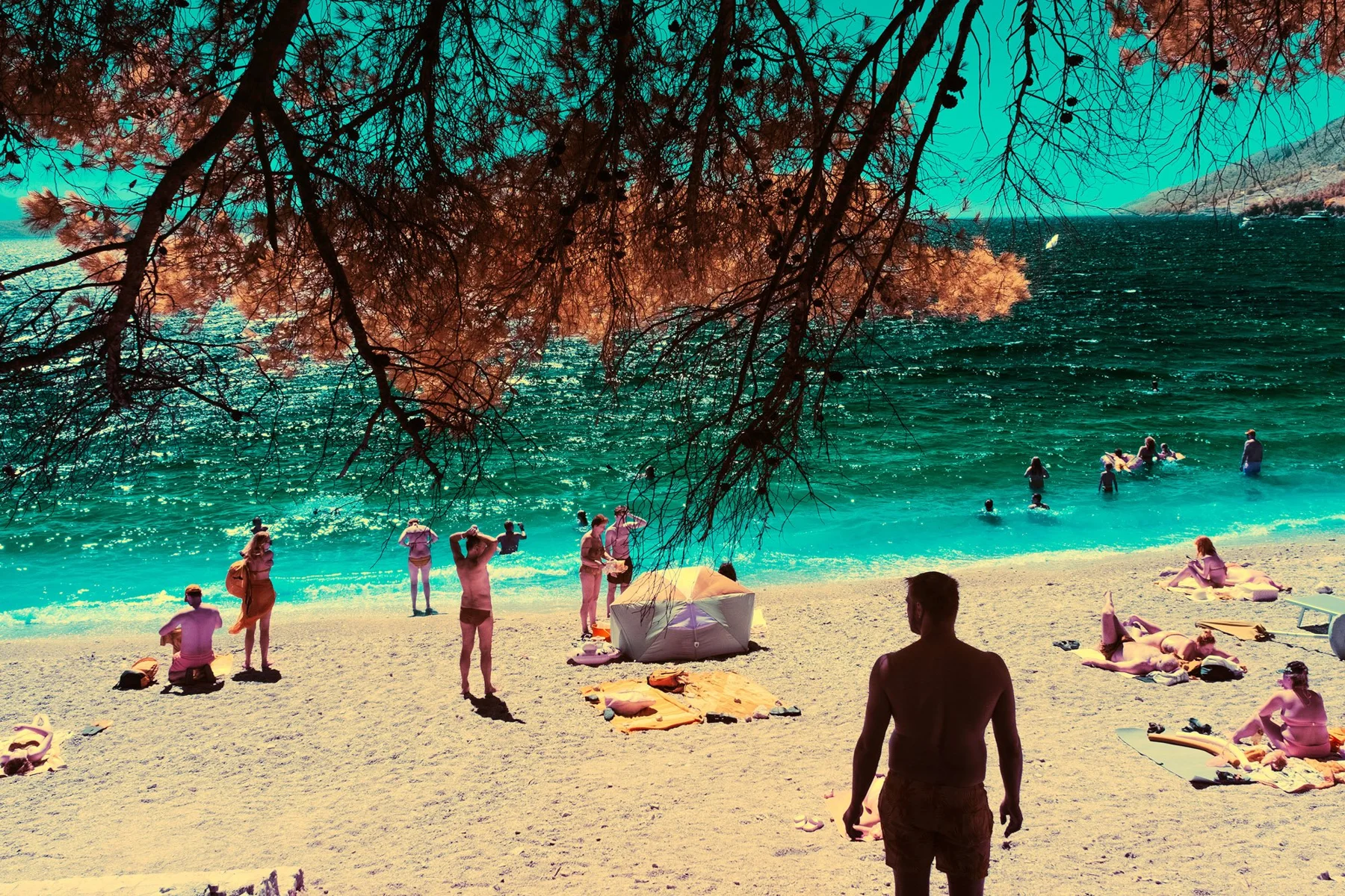 Badende am Strand unter &uuml;berh&auml;ngenden &Auml;sten.